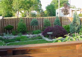 Bushes and landscaping Bushes and landscaping